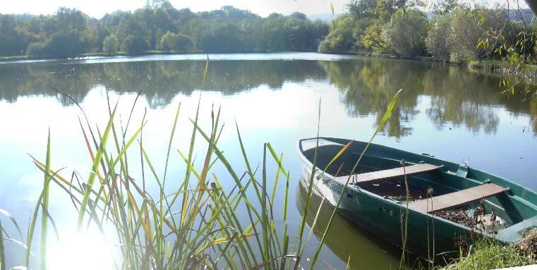 Gite De L'Etang - Parc Des Volcans D'Auvergne Loubeyrat Kültér fotó